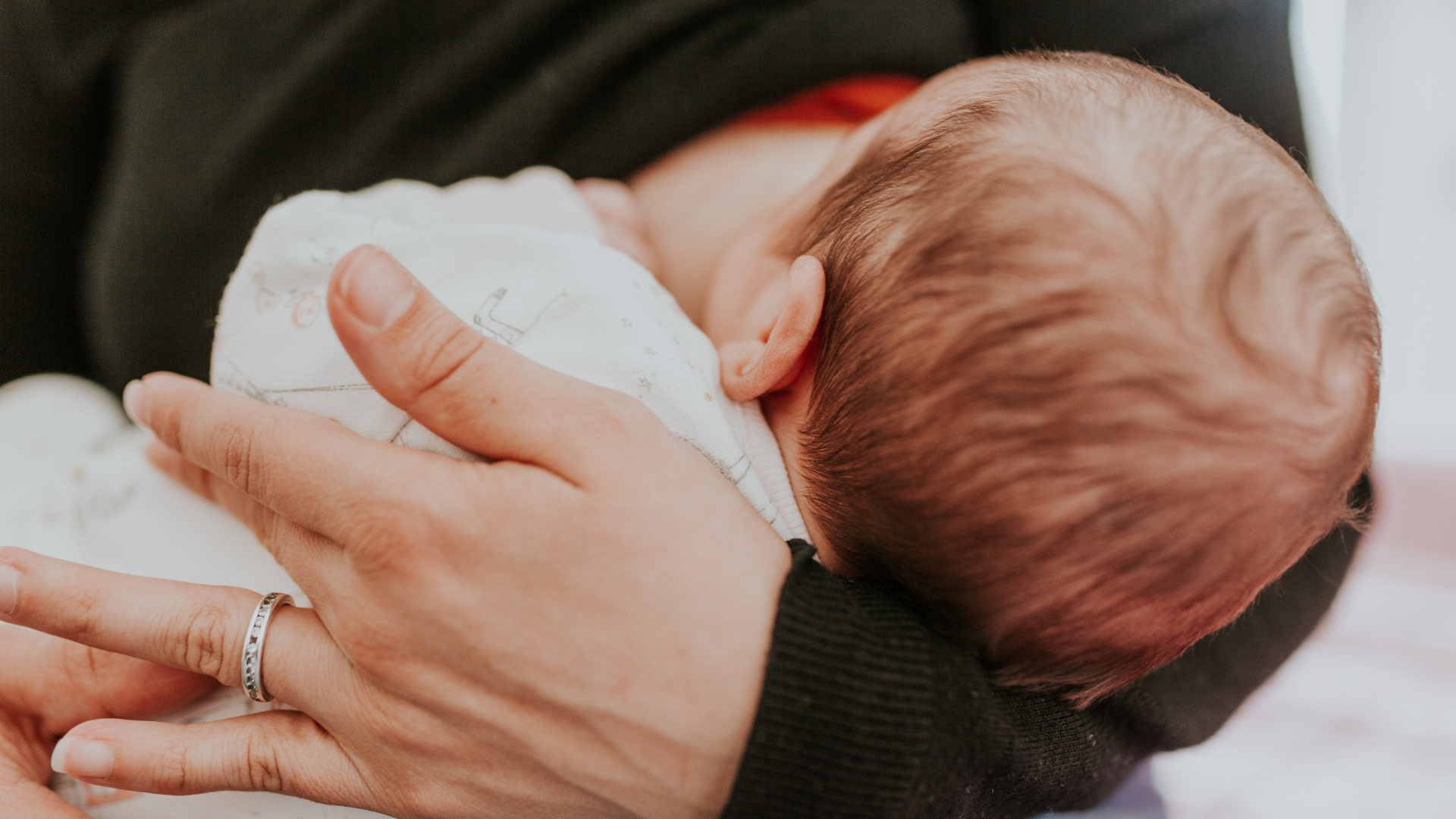 pelatihan konselor laktasi